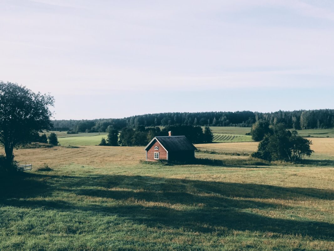 landskap 1