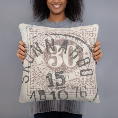 All over print basic pillow 18x18 front 6749b5311eded.png